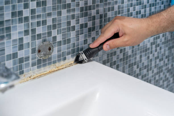 Best Affordable Mold Removal  in Elyria, OH